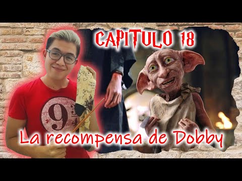 18 La Recompensa De Dobby - Harry Potter La Camara Secreta