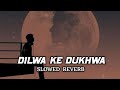Dilwa Ke Dukhwa Jake Kekra Se Bataye Lofi || Slowed Reverb || Pawan Singh || Jsr Lo-Fi Music