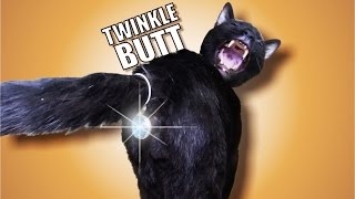 Talking Kitty Cat 42 - Twinkle Butt