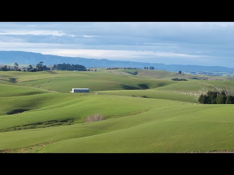 1131 Blackhill Road, Gore, Southland, 0 bedrooms, 0浴, Bare Land