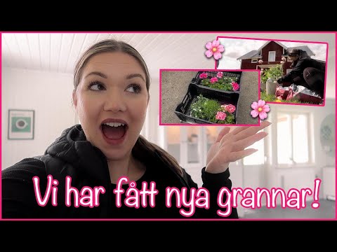 EN STOR TRÄDGÅRDSVLOGG 🌻 VLOGG 178