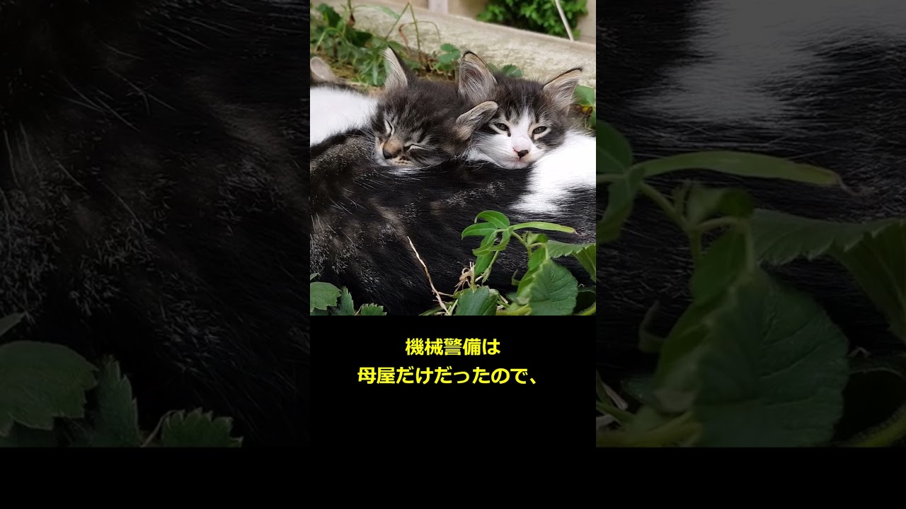 【5ch スカッと】海外旅行中に泥ママが自宅へ侵入！PCを売られた結果？【修羅場】#shorts