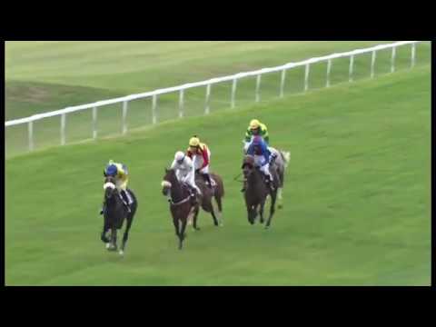 KV, 28. 9. 2018, 7. dostih - Cena společnosti Hipodrom Holoubek