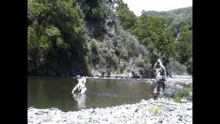 preview picture of video 'New Zealand north island fly fishing new zealand fly fishing north.m2p'