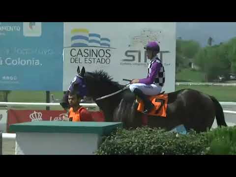 SINT COLONIA 230202 c05 1° EL SILBON