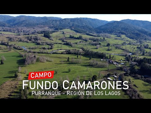 Campo en Purranque, Camarones – Región de Los Lagos