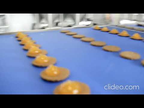 Линия производства печенья типа сэндвич-PSD