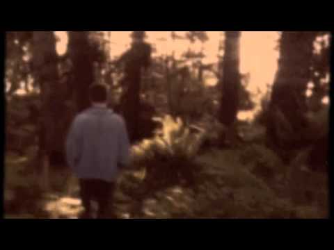 land and sea - ash reiter