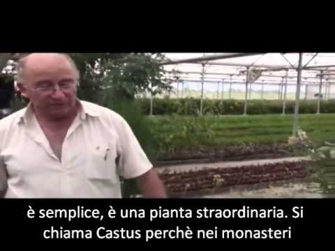 Cause e trattamento del dolore alle articolazioni del ginocchio Incinta spalla dolorante e collo