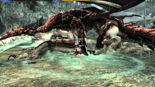 듀얼 소드 지그린트 솔플...