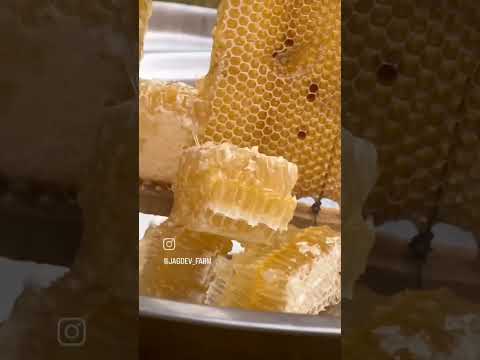 Jagdev organics comb honey