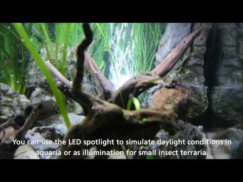 Watch Video on YouTube