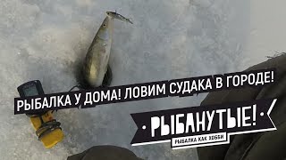 Зимняя рыбалка в новосибирская область