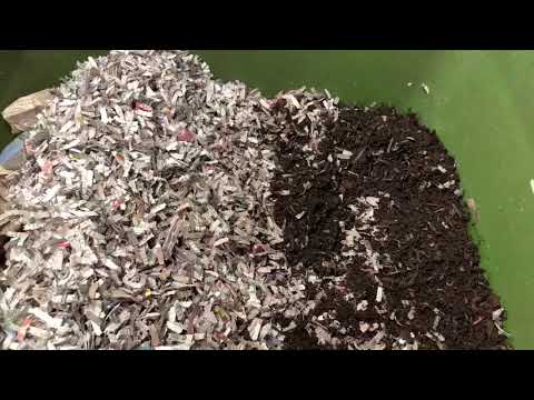 Hungry Bin restart update week 1.