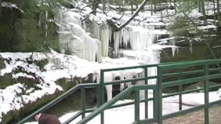 preview picture of video 'Hocking Hills State Park Winter Hike 2010, with A Cast of Thousands'
