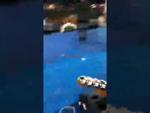 TAMADOS BAND》 SWEET CHILD AND MINE cocer