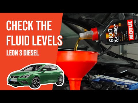 How to check the fluid levels Leon mk3 1.6 TDI 📏
