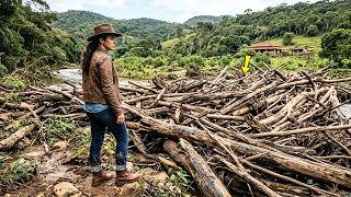 O RIACHO QUE ELA COMPROU ESTAVA BLOQUEADO POR 90 TONELADAS DE TRONCOS — MAS VALIA 1 MILHÃO DE REAIS