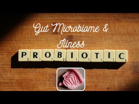 How Gut Microbiome Offers Chronic Disease Scientific Clues