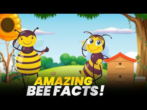 All About Bees For Kids Bee Facts And Information For Children