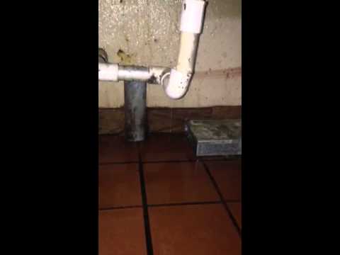 Rodents Entry Old Utility Pipe in Commercial Building in Freehold, NJ