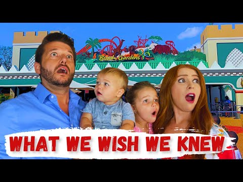 Genius Tips for Visiting Busch Gardens Tampa Bay!