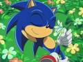 Sonic The Hedgehog I M A Believer Shrek Ending Version