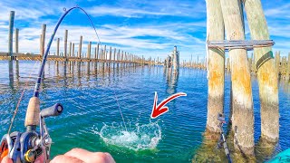 Unusual Sheepshead Spot Pays Off After Breaking #1 RULE of Fishing!
