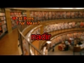 What does nadir mean?