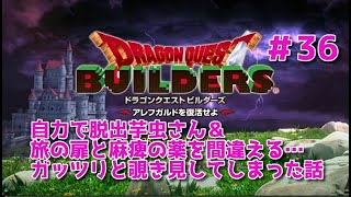 【ドラクエビルダーズ】DQBやってみた＃36 自力で脱出芋虫さん&旅の扉と麻痺の薬を間違える…ガッツリと覗き見してしまった話【女性実況】