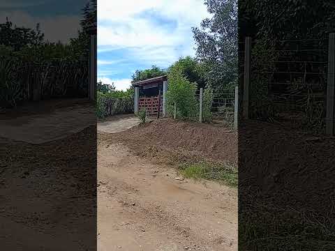 sitio tamboril Carnaíba pe