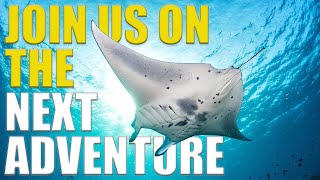 BIG ANNOUNCEMENT - Join Us On The Next ADVENTURE!