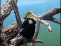 Handlers At Bronx Zoo