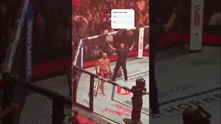 UFc 320 fight of the Night #jiříprocházka #shorts #jiriprochazka //\\  #mma #ufc #knockout #viral