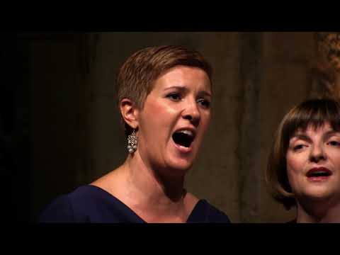 Klapa Amfora - Cetina