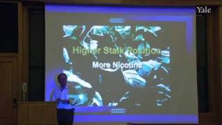 15. The Tobacco Paradigm