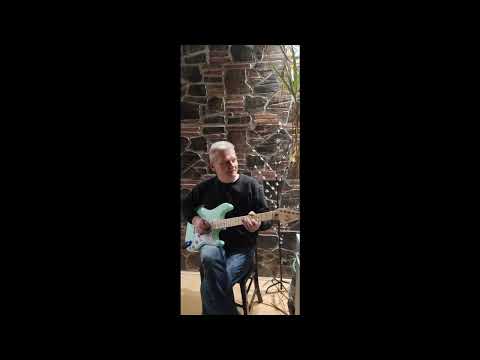 Razigrana šumadija V. Panović - Dragan Veličković gitara