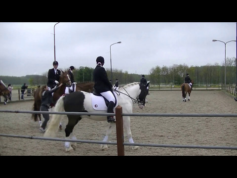 Video opstapbak en losrijden NK Paarden Carrousel Manege De Drechterweide