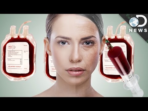 【謠言破解】「小鮮肉的血」能讓你青春永駐嗎? (Is Young Blood The Secret To Eternal Youth?)