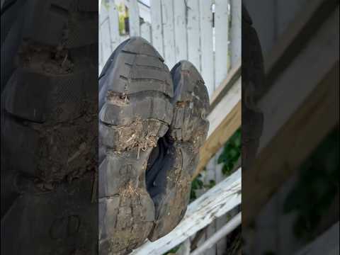 Cleaning Christian Dior B22 #sneakers #shorts