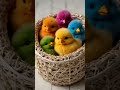 Rainbow baby chicks _Cute baby animals#birds #adorablechicks #pets