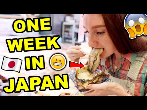 日本での1週間？ (ONE WEEK IN ??JAPAN ?(wearing only Japanese Thrift Store Clothes!))