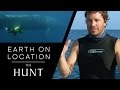 Diving With the World's Biggest Mammal! | The Hunt | #EarthOnLocation Vlog | BBC Earth Unplugged