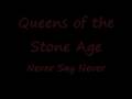 Queens of the Stone Age - Never Say Never(Cover ...