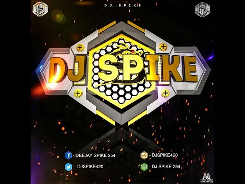 Sean Paul Vs Shaggy Mix   Dj Spike