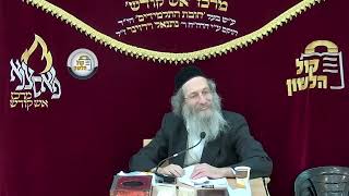 הרב אלימלך בידרמן | כוח התפילה - שיחתן של עבדי אבות, פרשת חיי שרה (ארגון קול הלשון) - התמונה מוצגת ישירות מתוך אתר האינטרנט יוטיוב. זכויות היוצרים בתמונה שייכות ליוצרה. קישור קרדיט למקור התוכן נמצא בתוך דף הסרטון