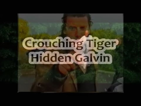Crouching Tiger Hidden Dragon - Irish Traveller parody with Shane Galvin