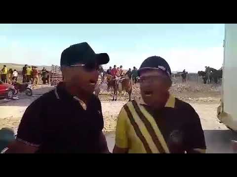 Toada de um vaqueiro que viajo