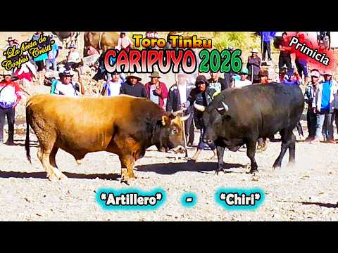 Toro Tinku de CARIPUYO 2026, 2Dia T7 "Artillero-Chiri". (Video Oficial de ALPRO) BO.