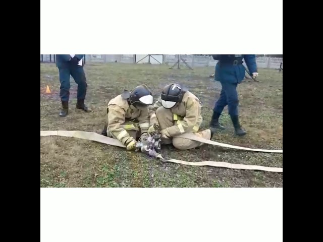 Молодые профессионалы из Затонской школы принимают участие в региональном чемпионате